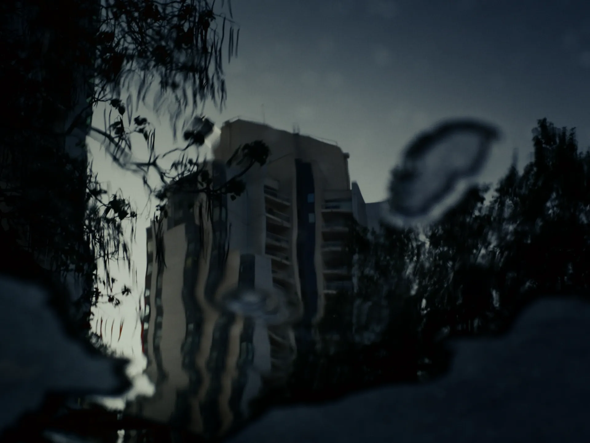Image 3 sur 16 — Sroka — Distance.s