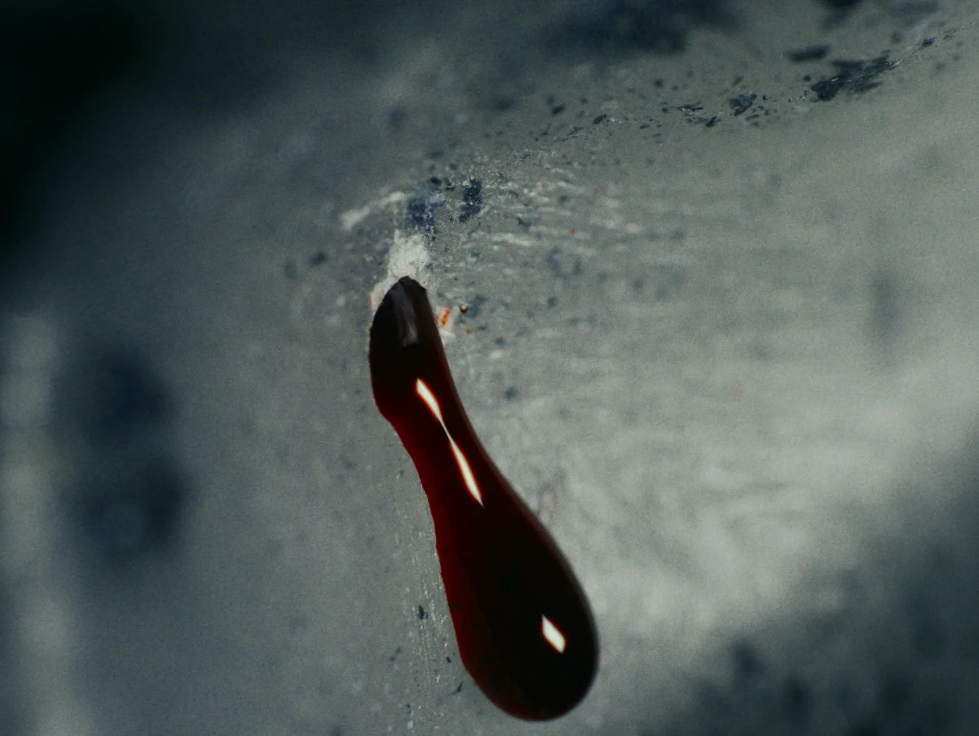Image 1 sur 21 — Ce qui reste sans rester