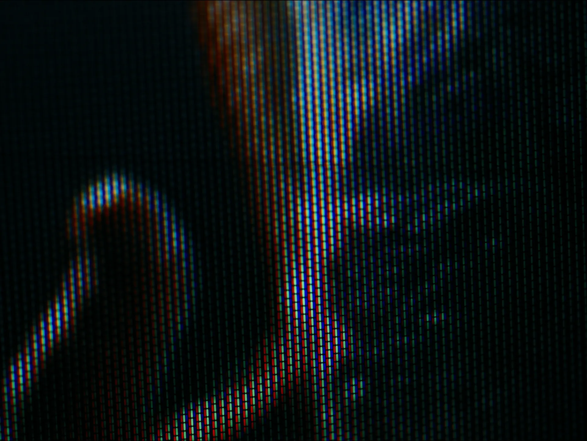 Image 7 sur 21 — Ce qui reste sans rester